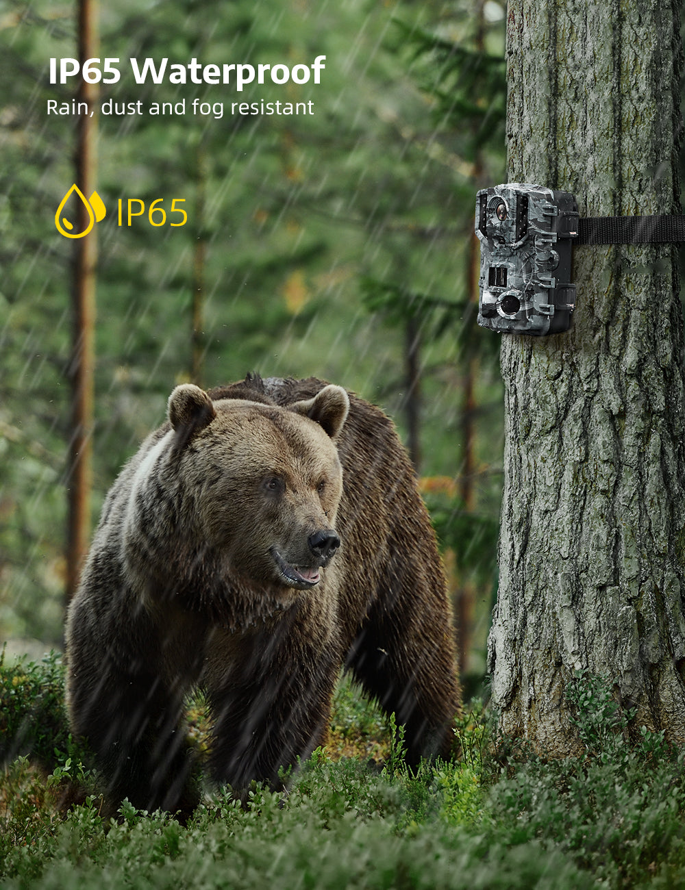 VanTop Ninja 1 Trail Camera 20MP 1080P Hunting Game Cam